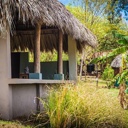 Coco Loco Eco-Resort Gemastepe Luaran gambar